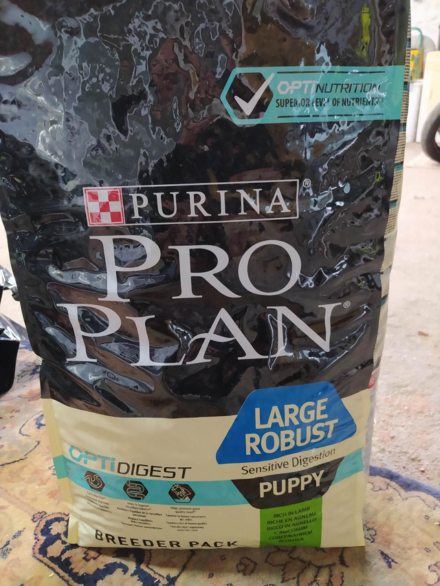 puppy large 18kg robust agneau