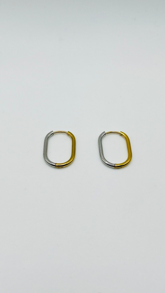 Stainless Steel Earrings (SSE62J)