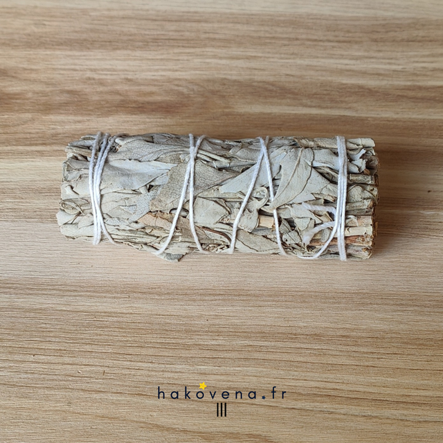 Sauge Blanche Apiana Californie, Fago bouquet, Ficelle 10-11cm 25-35g