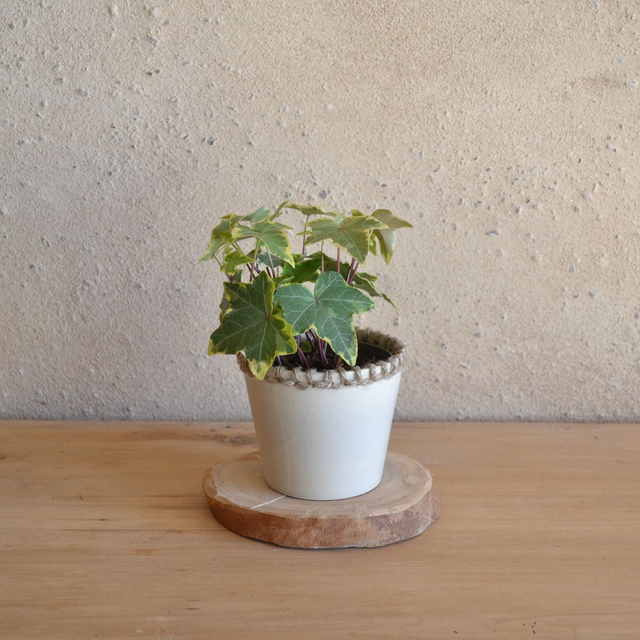 Pot - Bord tressé