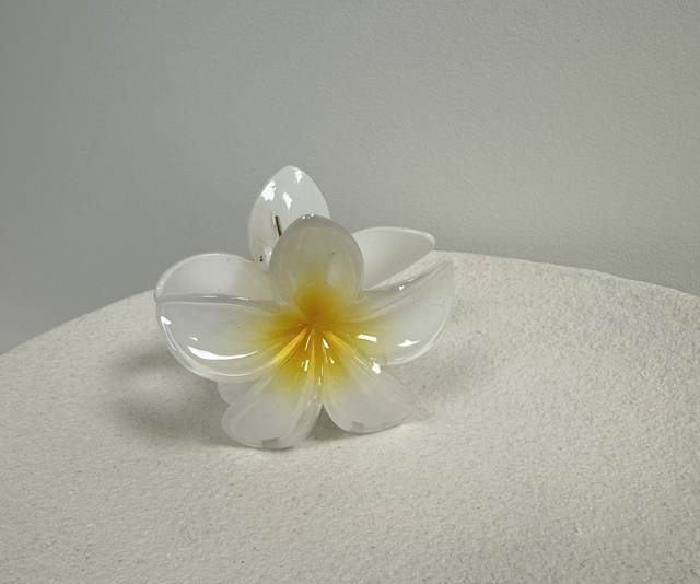 PINCE À CHEVEUX FLOR