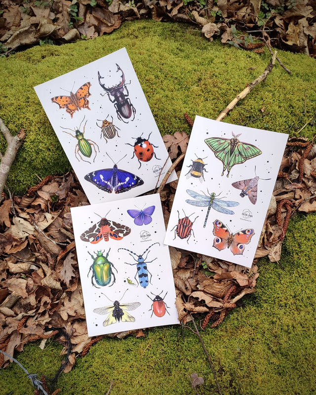 Lot de 3 planches de 6 stickers