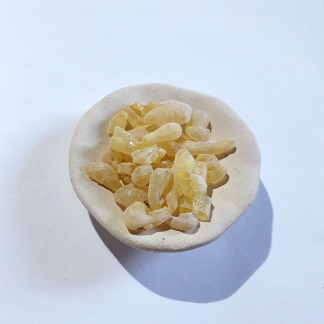 SANDRACK Resin 30 gram TETRACLINIS ARTICULATA 