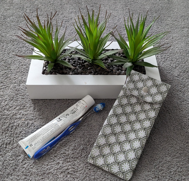 étui de voyage pour brosse à dents et dentifrice 