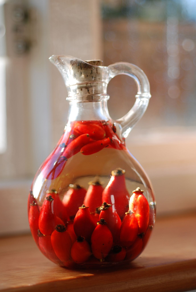 2025, 1 November: Winter Health Workshop