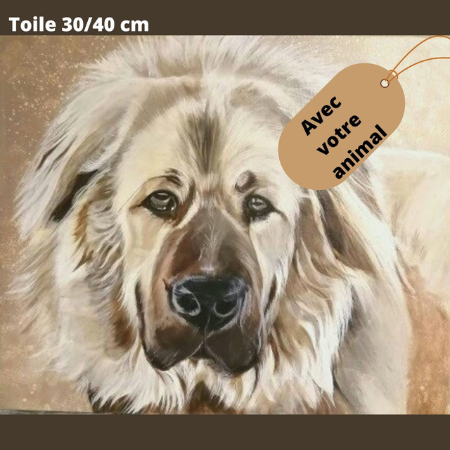 Portrait animalier sur commande  
