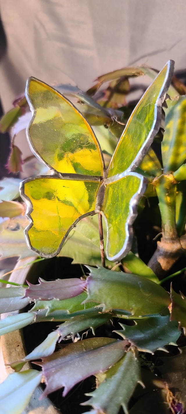 Papillon en Tiffany jaune transparent.  