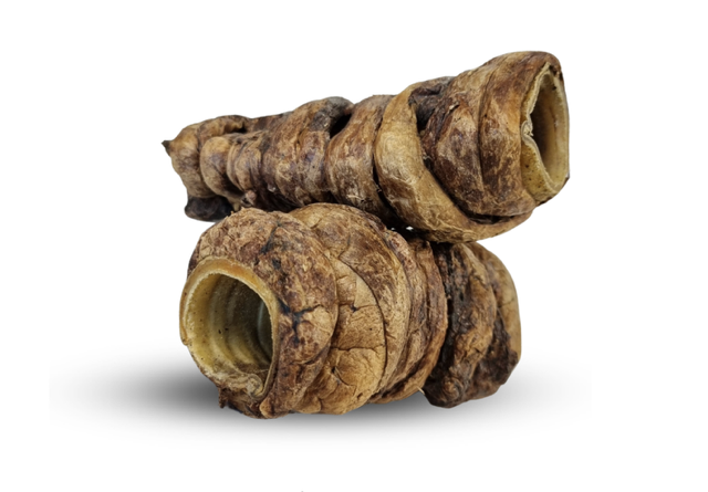 Trachée de boeuf avec poumon