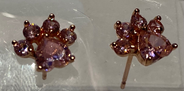 Paw print Crystal earrings