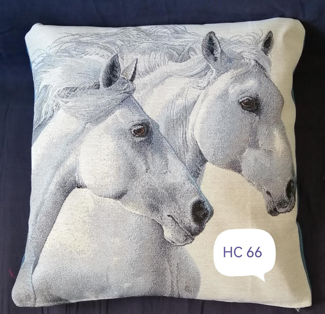 Housse coussin HC 66