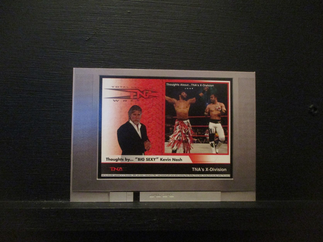 TNA X-Division - 'Thoughts About' Original Trading Card #BS-1