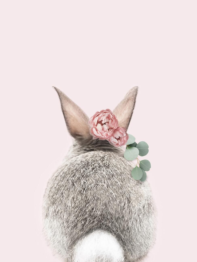 Shake Your Bunny Tail 