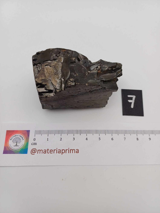 Shungite élite taille L (67g)