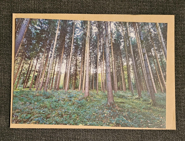 Copse Scenery Card 