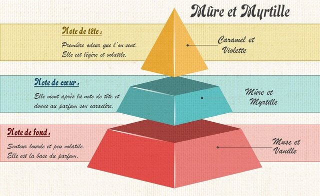 Bougie 140g - MURE / MYRTILLE
