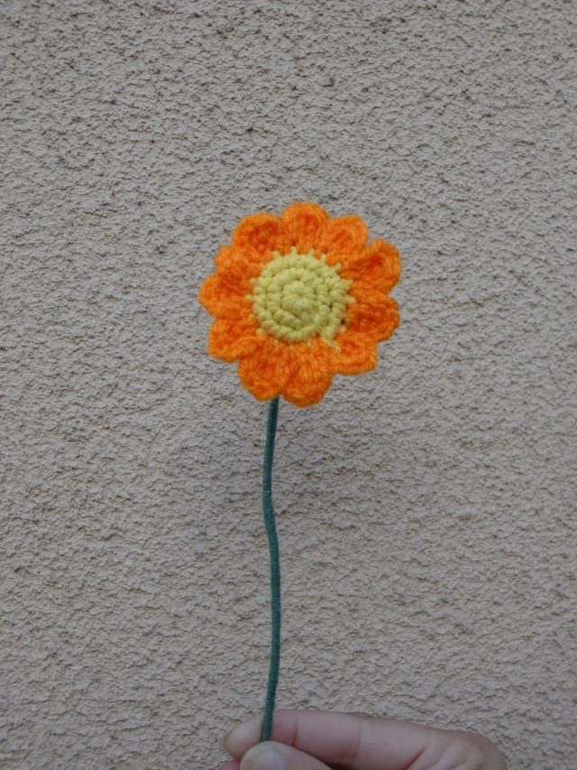 Marguerite orange