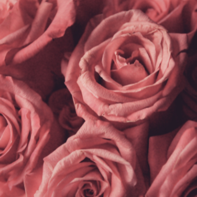 BOIS DE ROSE GALET FONDANT 15g