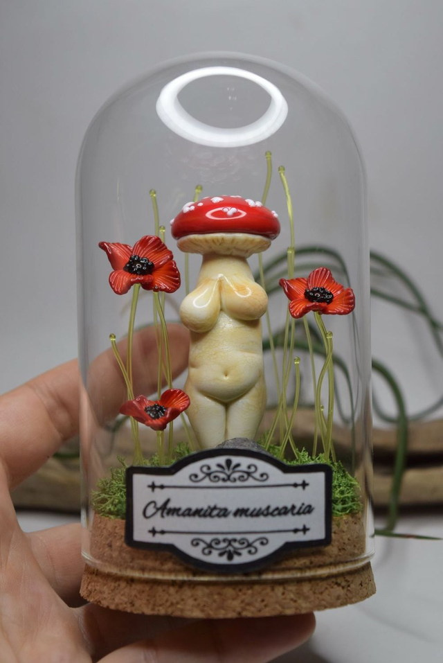 AMANITA MUSCARIA SOUS VERRE 
