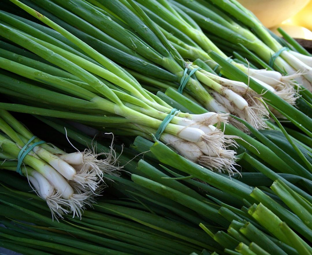 Spring Onion x1 bunch