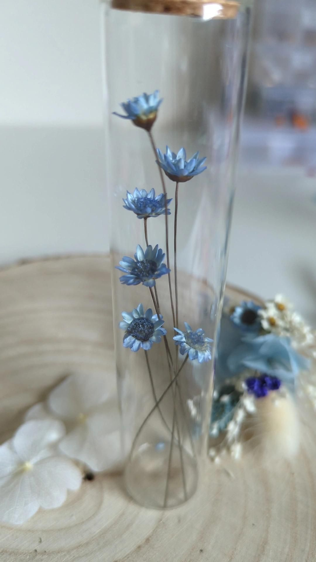 Fioles en verre - Blue 1