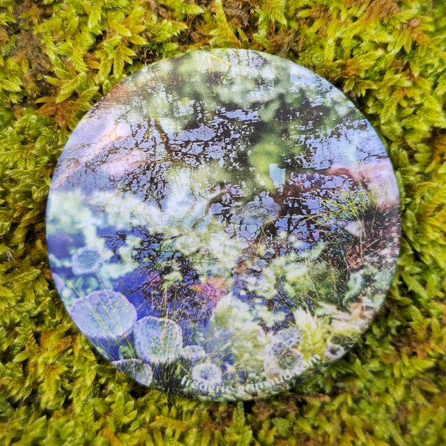 Magnet Nature 6 cm