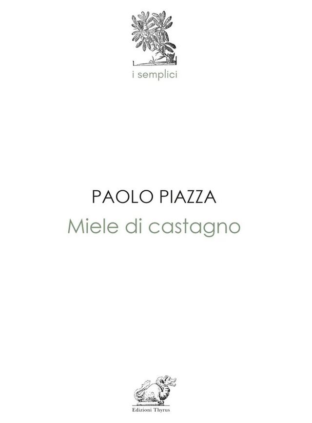 Piazza Paolo - Miele di castagno