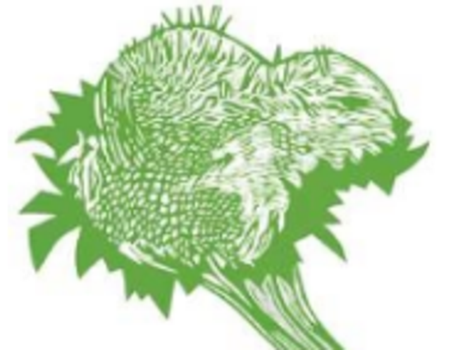 Carte motif Méduse Bleu ciel