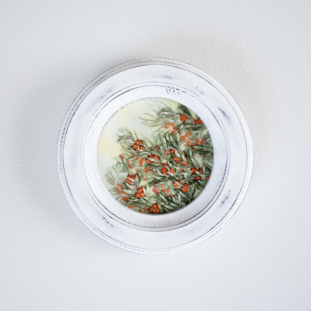 SEA BUCKTHORN | Botanical Study