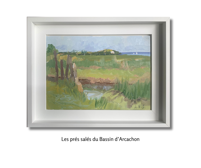 Les prés salés du bassin d’Arcachon