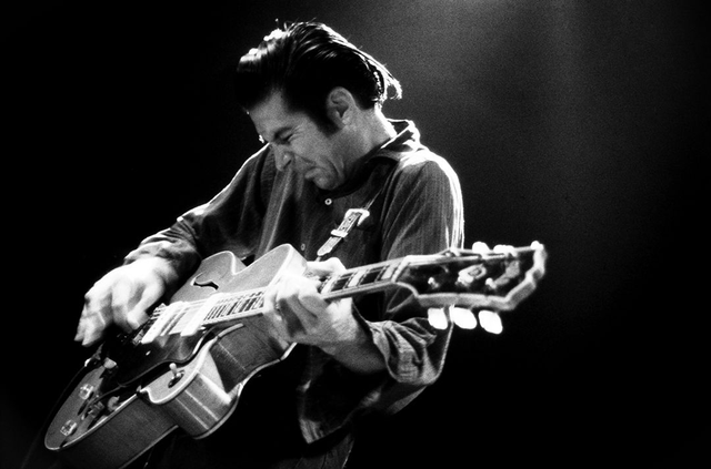 The Paladins / Dave Gonzalez