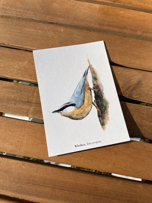 Postkarte Vogel "Kleiber"