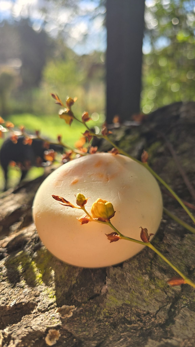 Acondicionador BRILLA