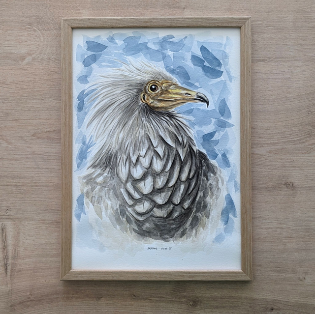 "L'élégant" - Aquarelle originale