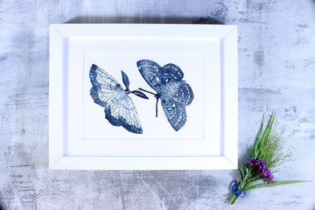 Drypoint Print: Dark Bordered Beauty &amp; Taylor's Checkerspot Butterfly