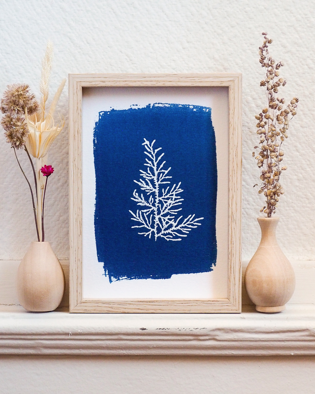 Petit Format - Sélaginelle