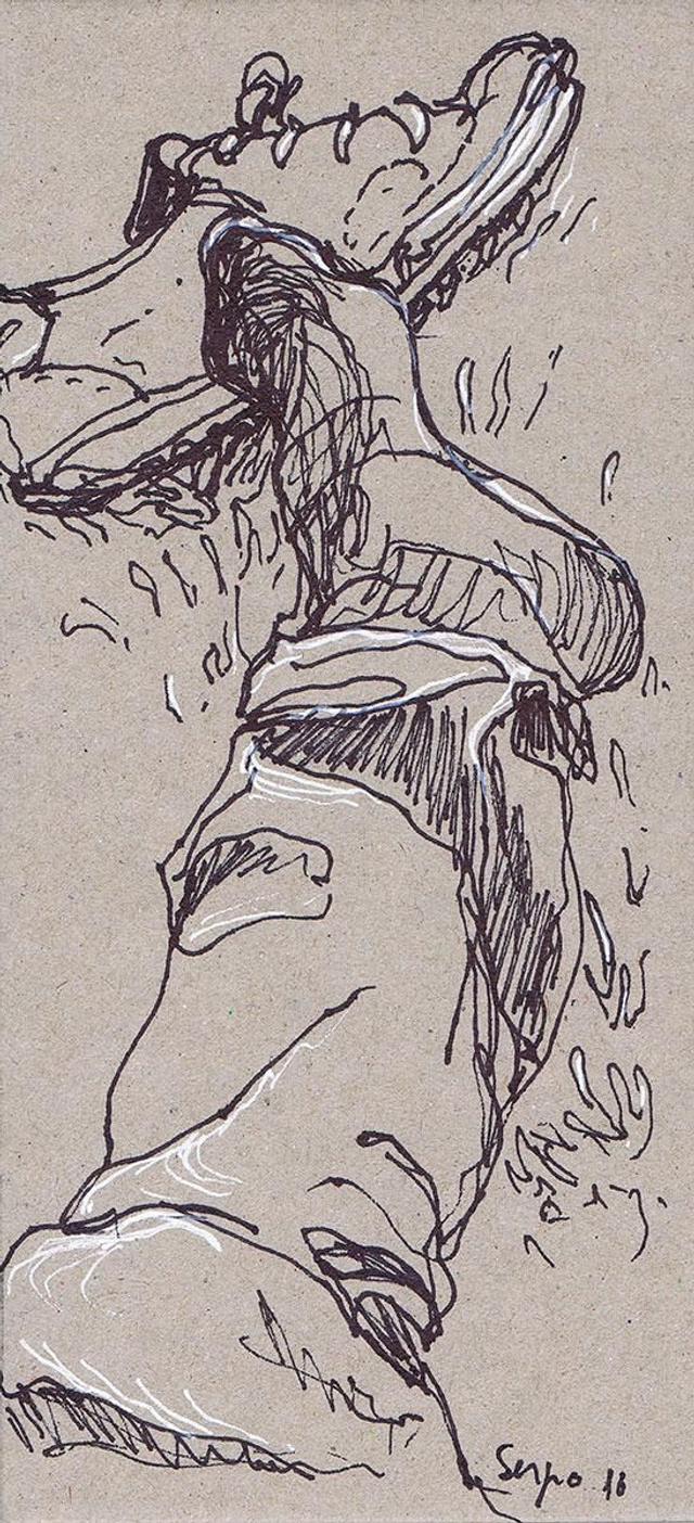 Dibujo sobre el cesped