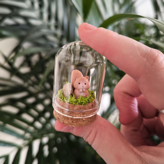 Toup&#039;tit protecteur - Ecureuil