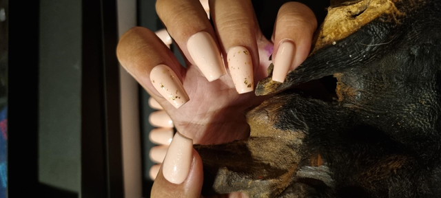 Corail glitter coffin S