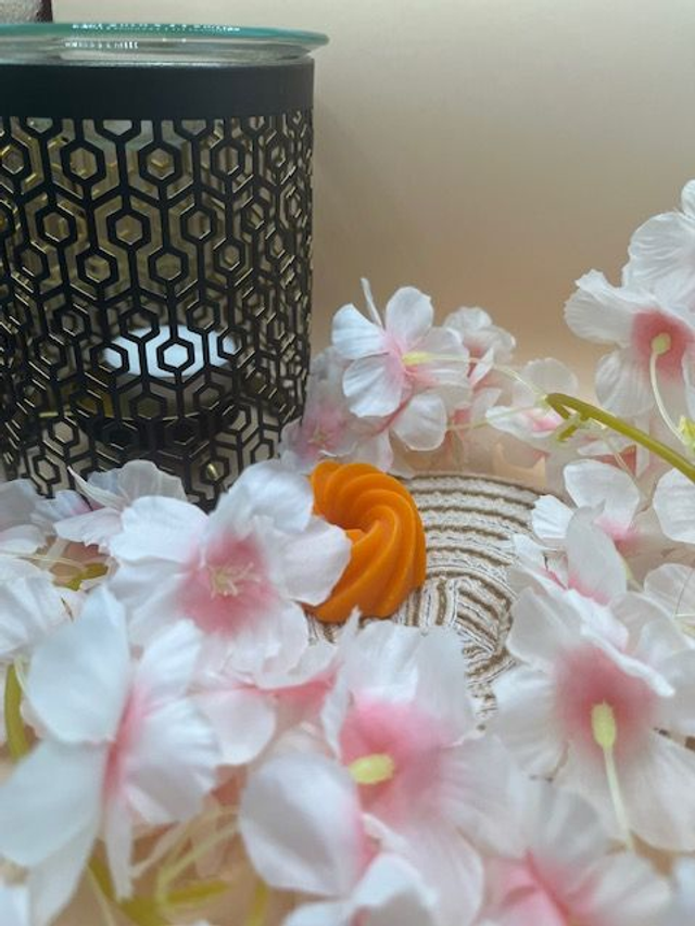 Fondant parfumé Karma - 18 grammes