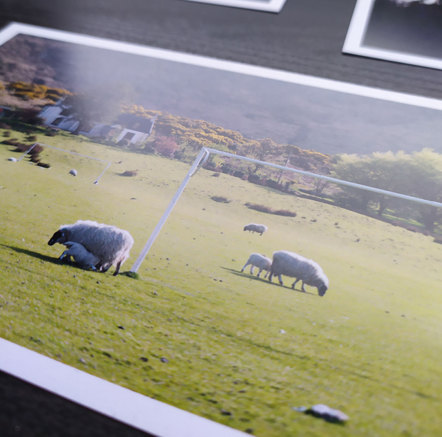 « Wooled players »