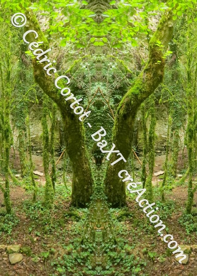 Carte postale - Entre réel et irréel (Ref IMG_2052-4)