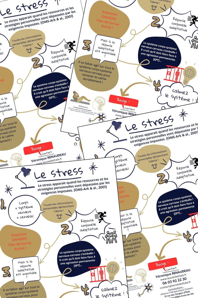Infographie "Le mécanisme du stress"