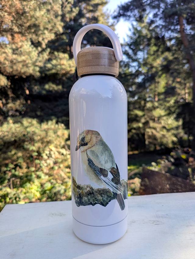 Gourde Geai des chênes