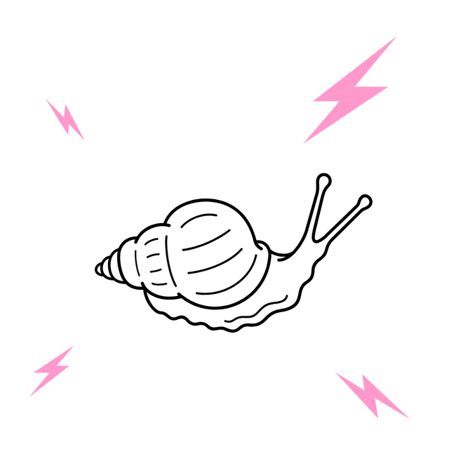 Deux douzaines D'escargots de Bourgogne (2pers)