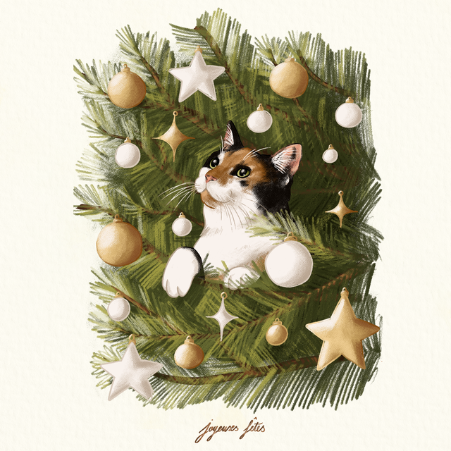 Carte Maya dans le sapin