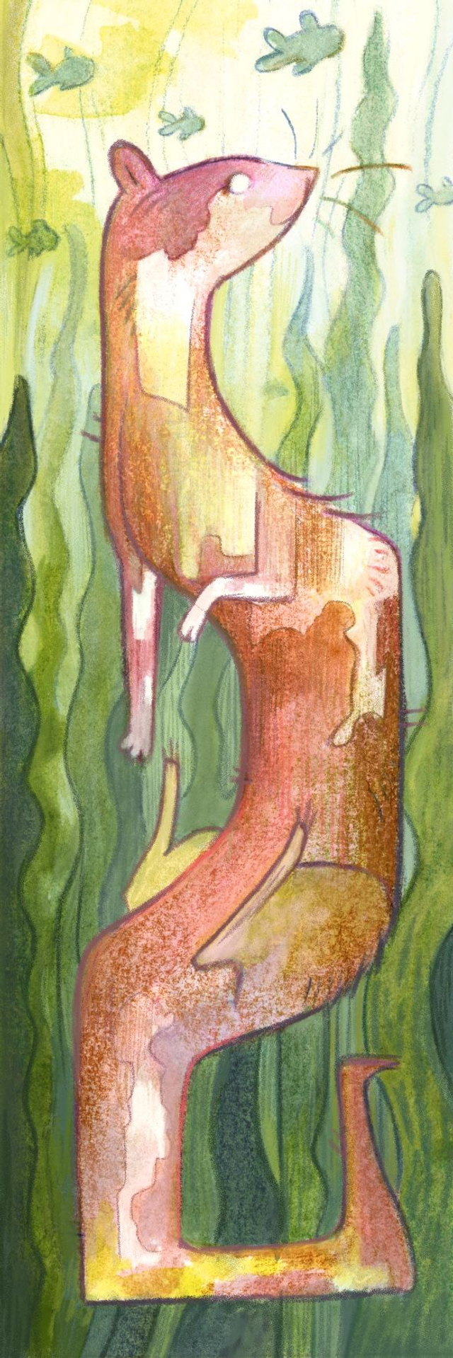 Marque Page - la Loutre