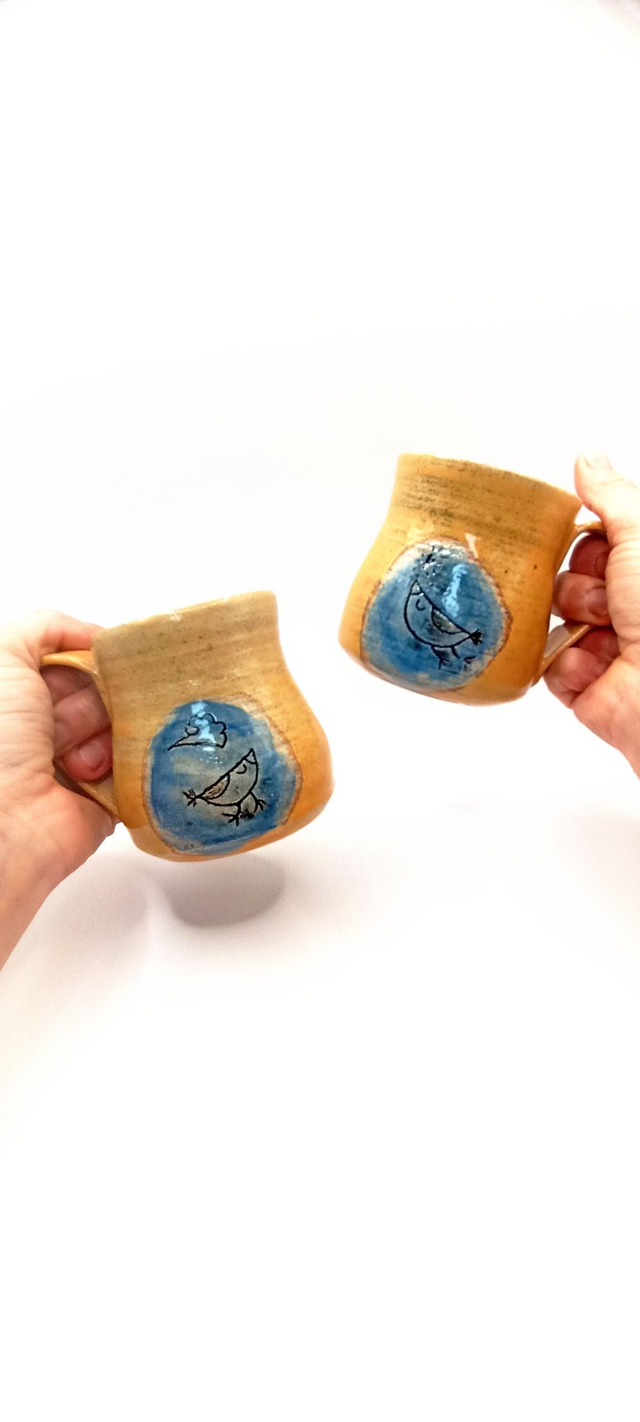 Birds mug set