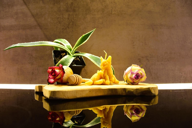 Bougie Chat à la rose