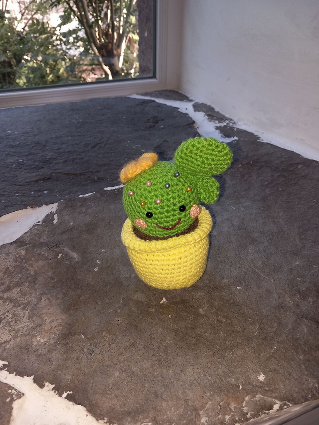 Cactus porte épingles boules