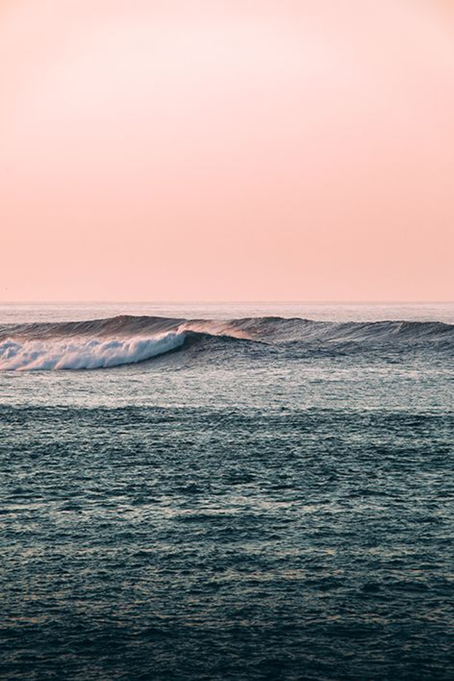 Océan - Les alcyons